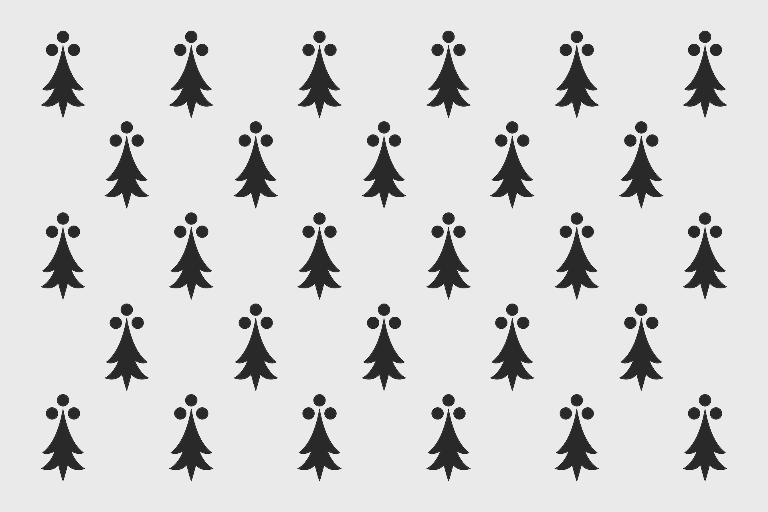 Duchy of Brittany Flag