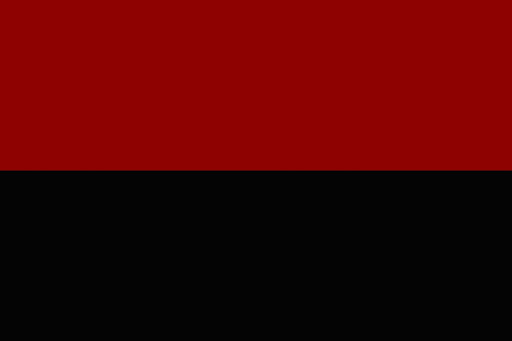 Tamil Flag