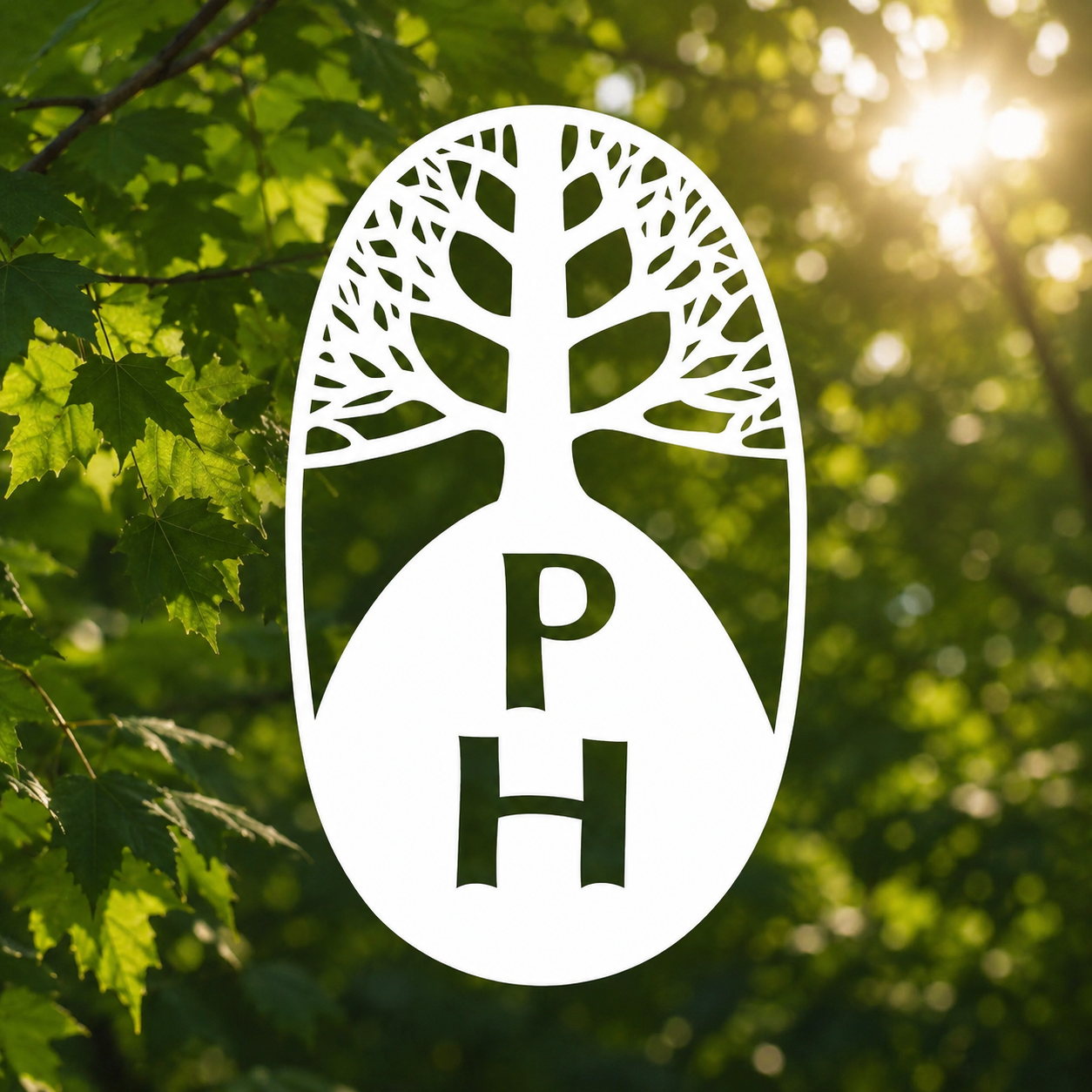 Pendle Hill logo artwork